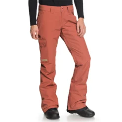 DC Recruit Snowboard Pant 2019 -Roxy Ski Store 7b307360e8e64bf8fc62890a28986f55 1ea8e905 a9ce 43b4 937d 0221e20ccb62