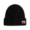 Quiksilver Tofino Beanie