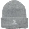 Coal The Morgan Beanie 2021