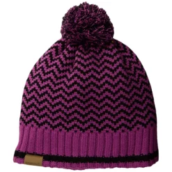 Salomon Back Country Womens Beanie -Roxy Ski Store d7283677b735f17b8f4748091e525d2a