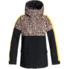 DC Cruiser Women's Snowboard Jacket