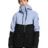 Roxy Womens GORE-TEX Stretch Purelines Snow Jacket