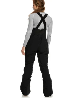 Roxy Womens GORE-TEX® Stretch Prism Snow Pants -Roxy Ski Store erjtp03204 roxy w kvj0 bck1