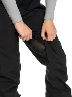 Roxy Womens GORE-TEX® Stretch Prism Snow Pants -Roxy Ski Store erjtp03204 roxy w kvj0 frt5