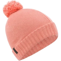 Le Pom Beanie 2019
