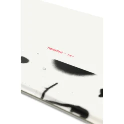 RIDE Twin Pig Snowboard 2024 -Roxy Ski Store ride 2324 twinpig R2302007 01 A 5